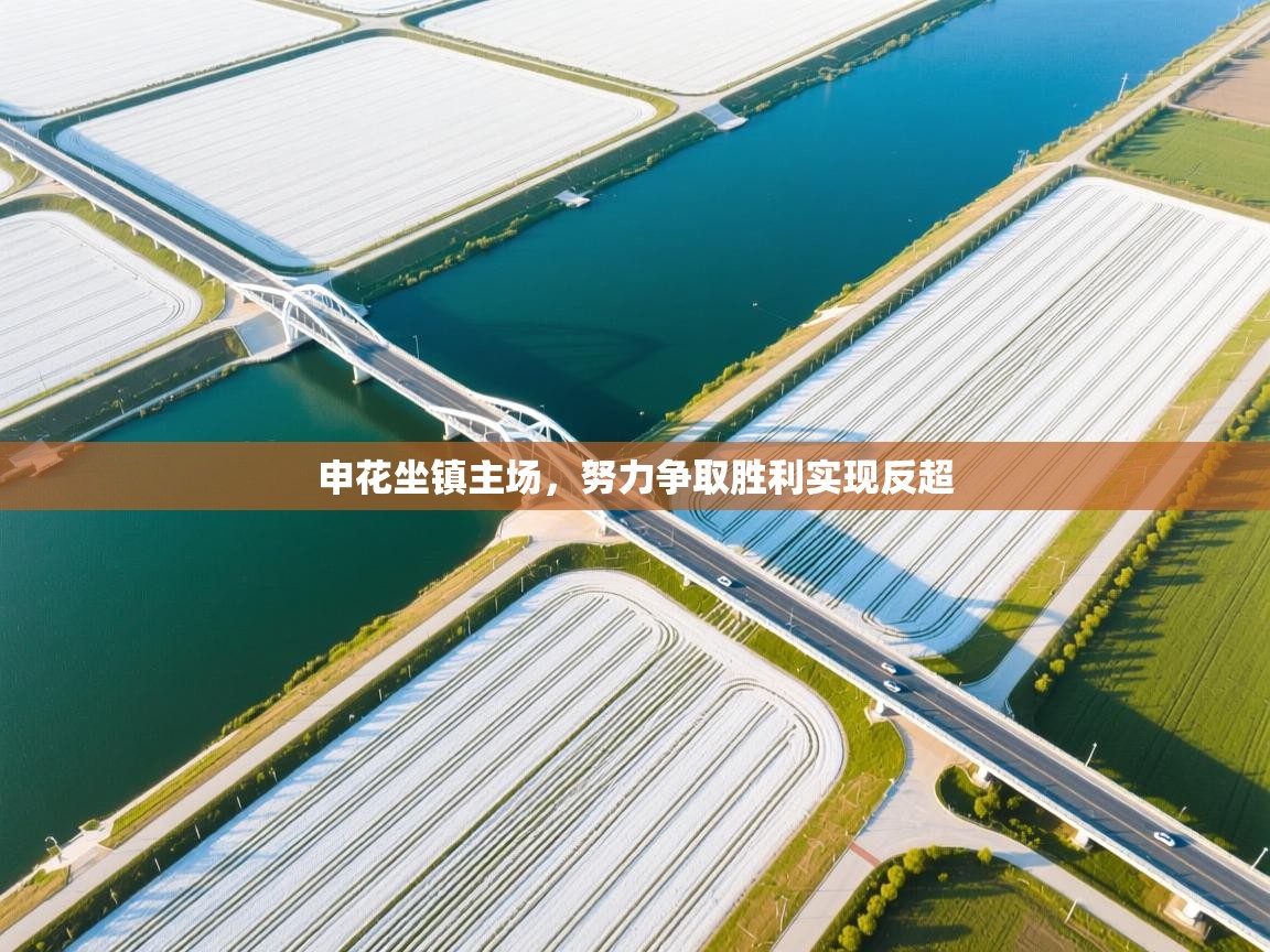 申花坐镇主场，努力争取胜利实现反超  第1张