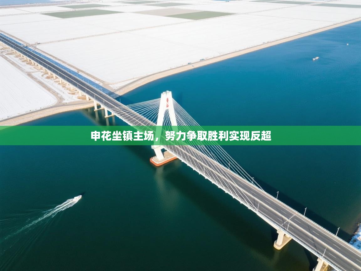 申花坐镇主场，努力争取胜利实现反超  第2张